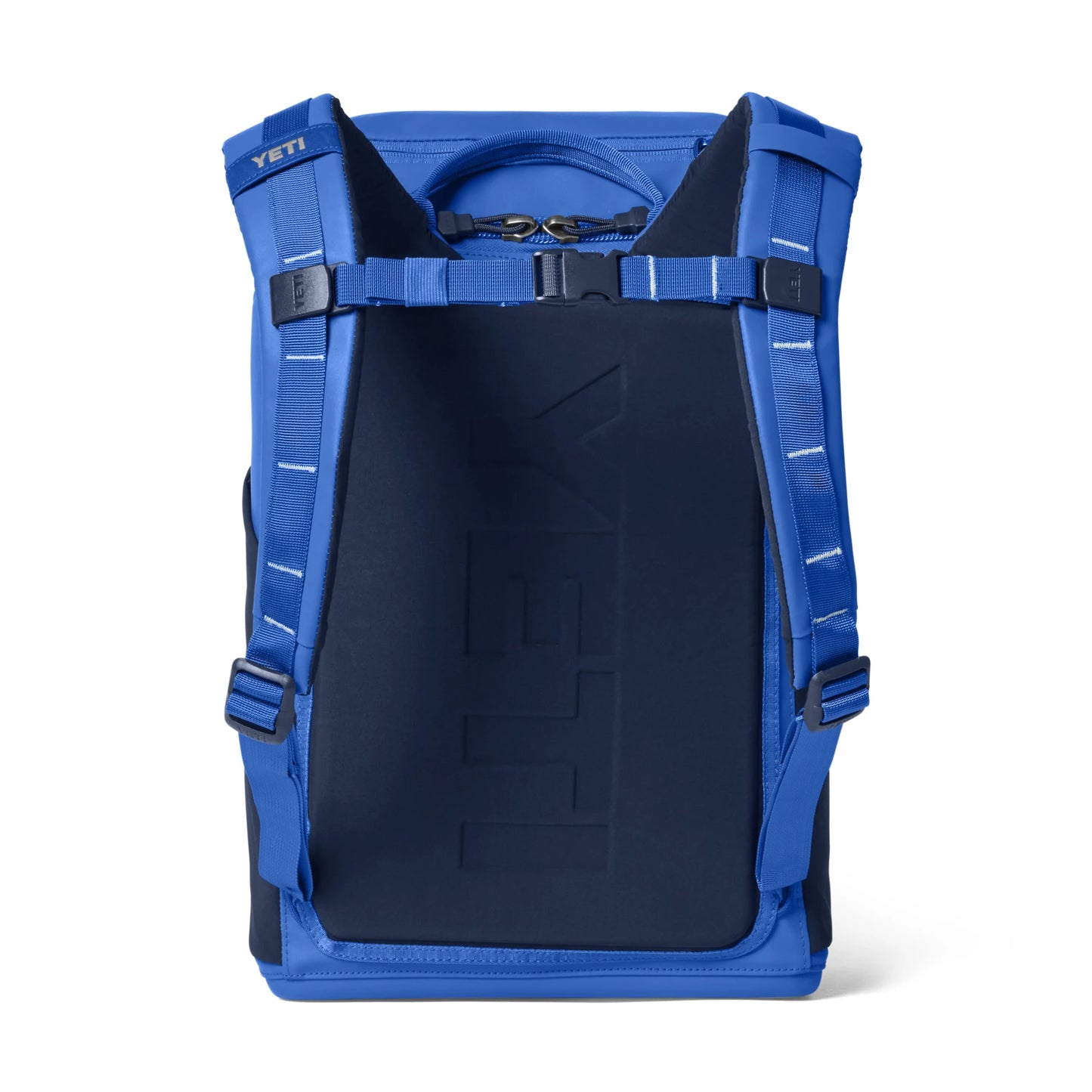 20L Insulated Backpack