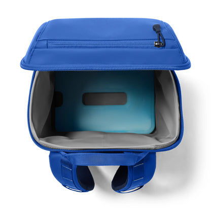 20L Insulated Backpack