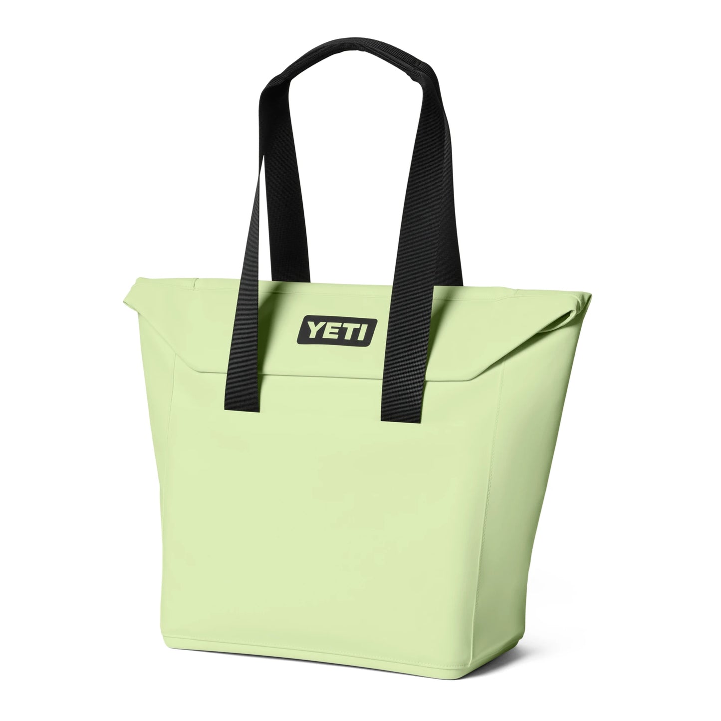 20L Insulated Tote Bag