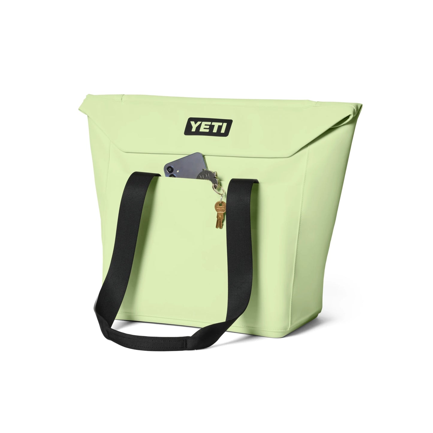 20L Insulated Tote Bag
