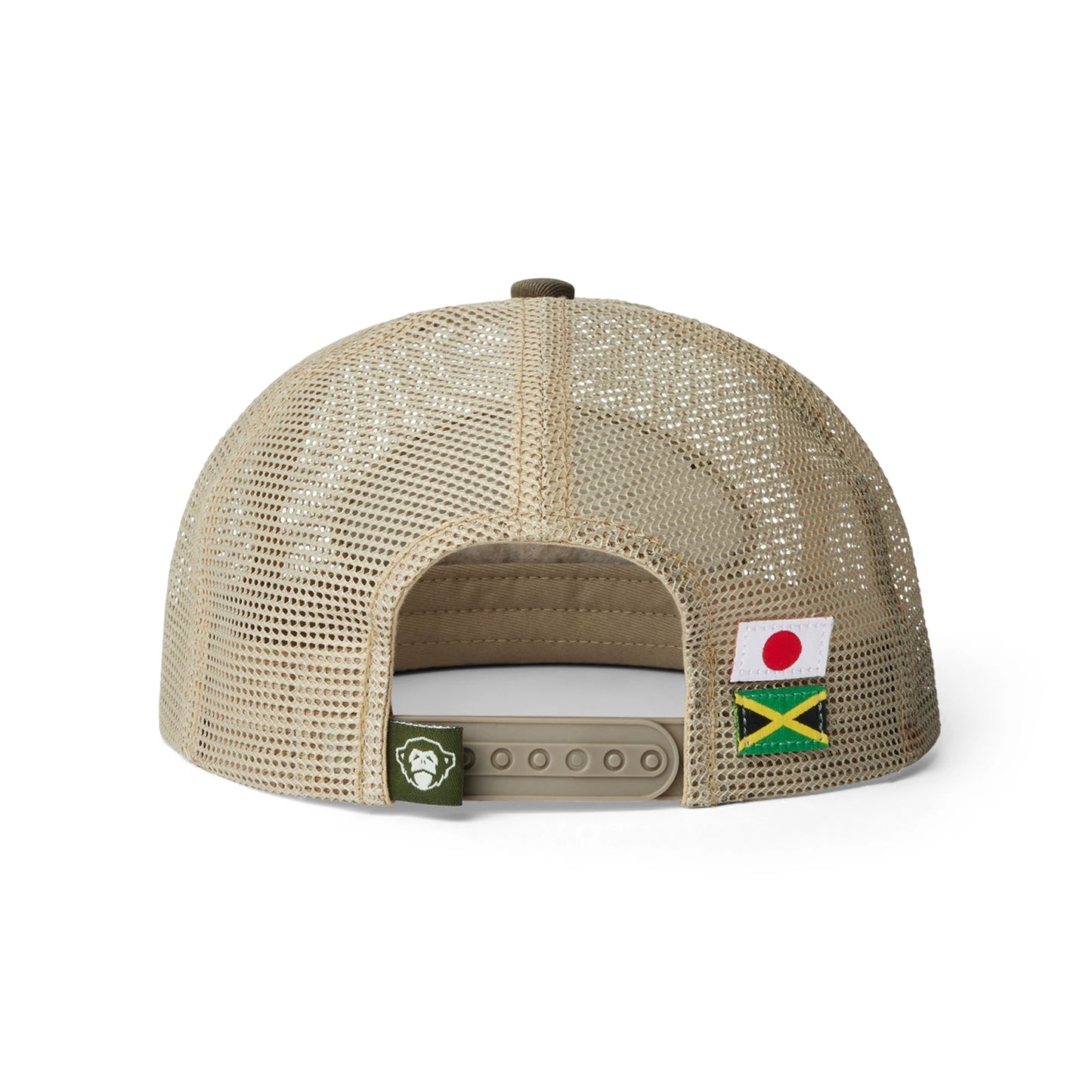 Dub Store Feedstore Snapback
