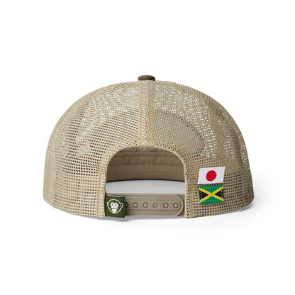 Dub Store Feedstore Snapback