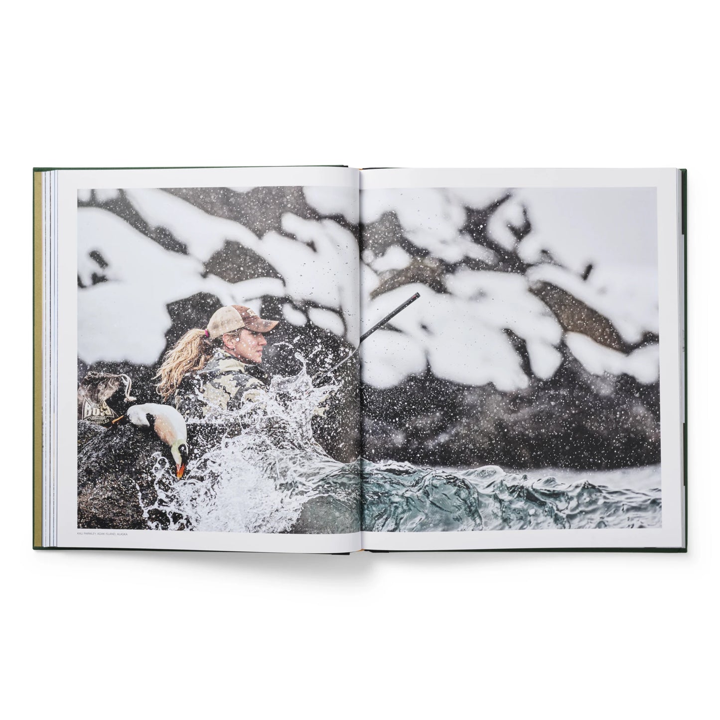 Ducks Coffee Table Book