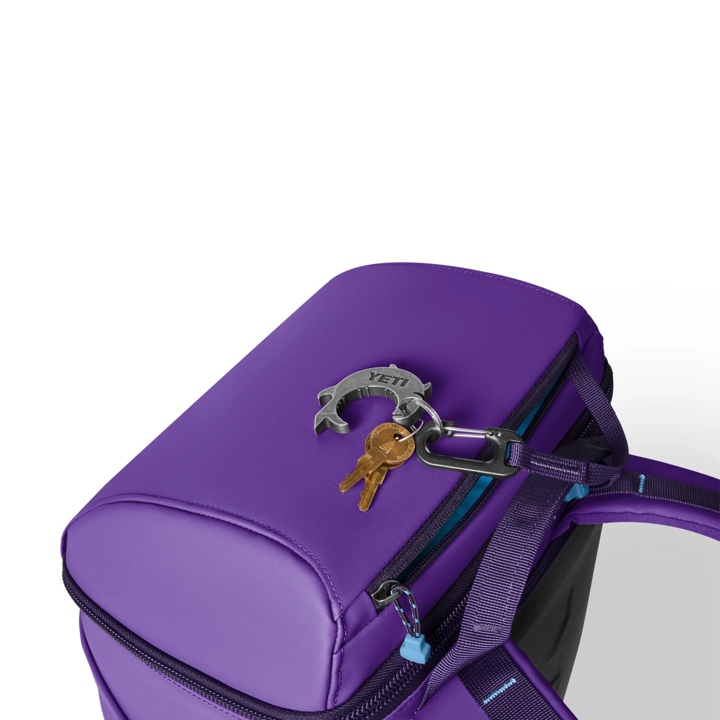 20L Insulated Backpack