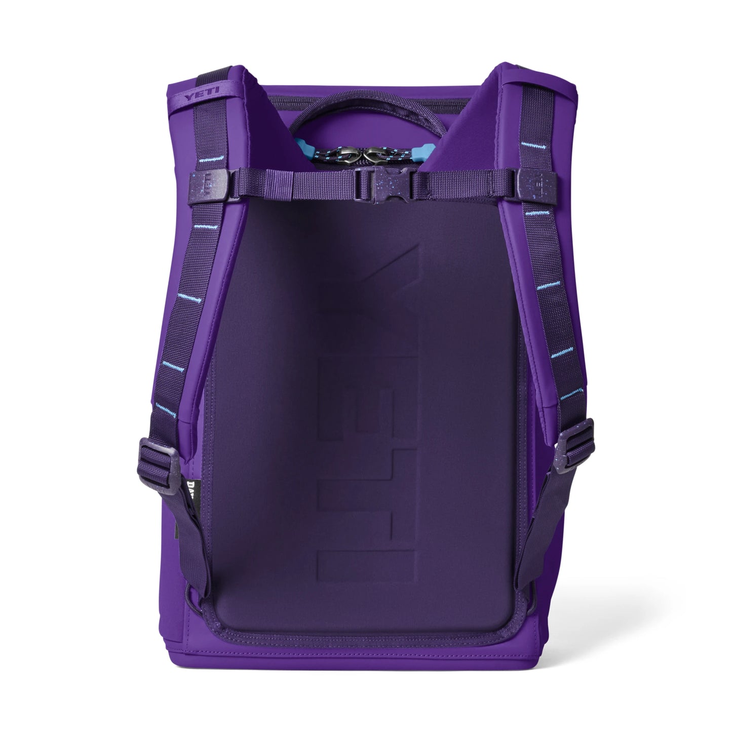 20L Insulated Backpack