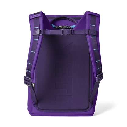20L Insulated Backpack
