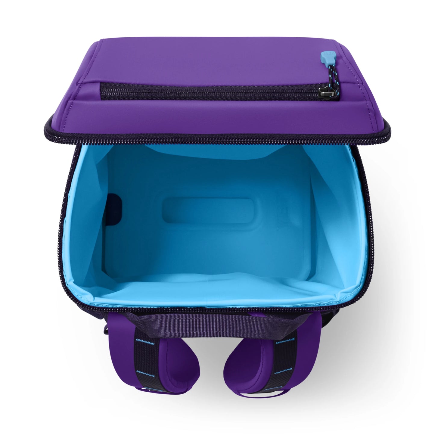 20L Insulated Backpack