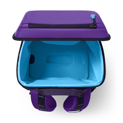 20L Insulated Backpack
