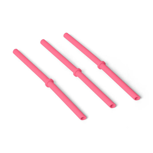 S/M Silicone Straw Pack